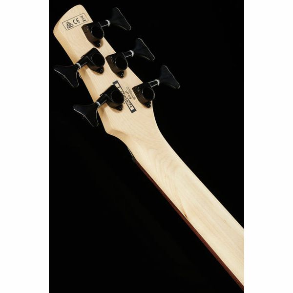 Ibanez GSR205SM-NGT