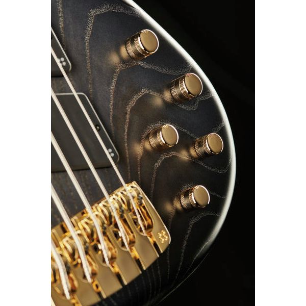 Sandberg Panther 5 fretless 35