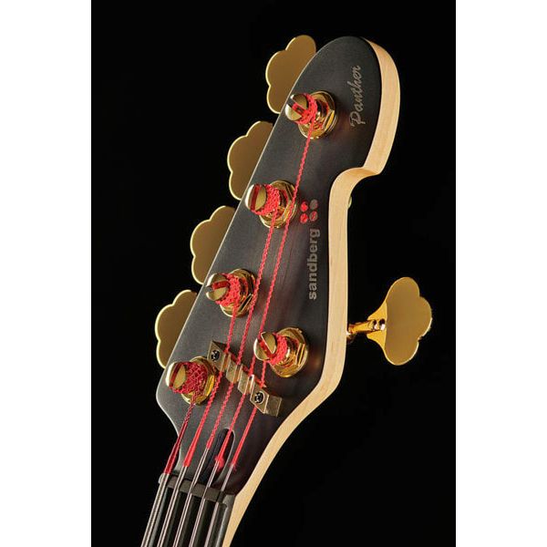 Sandberg Panther 5 fretless 35