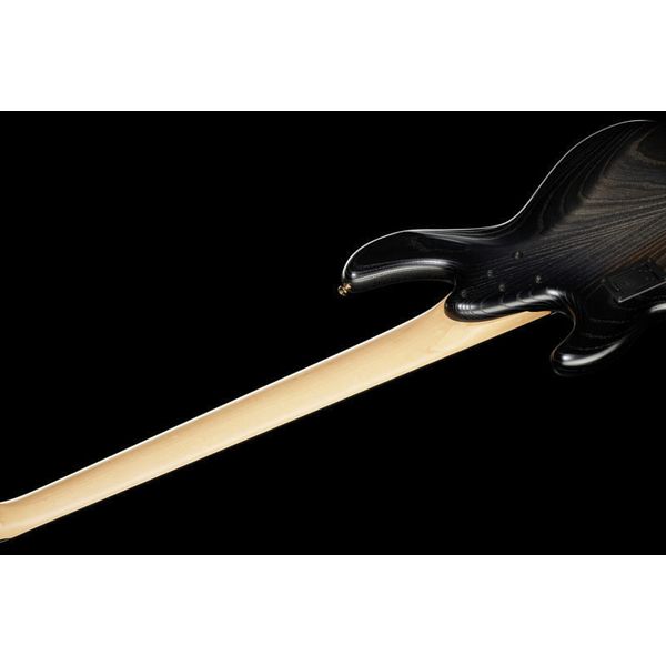 Sandberg Panther 5 fretless 35