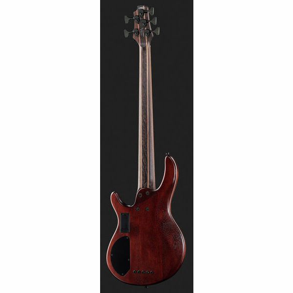 Cort B5 Element Open Pore Natural