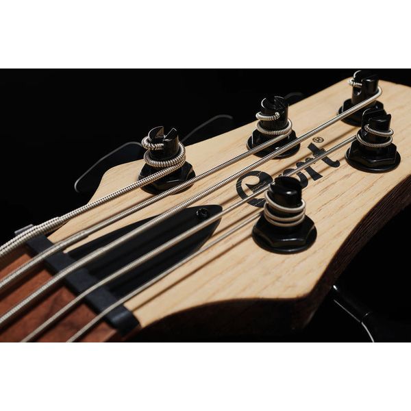 Cort B5 Element Open Pore Natural