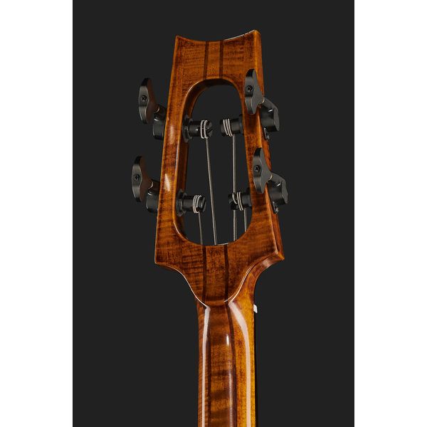 Maybach DaVinci Bass Antique Violin