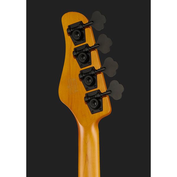 Schecter Model-T Session-4 ANS