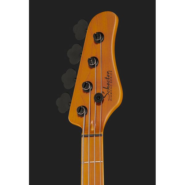 Schecter Model-T Session-4 ANS