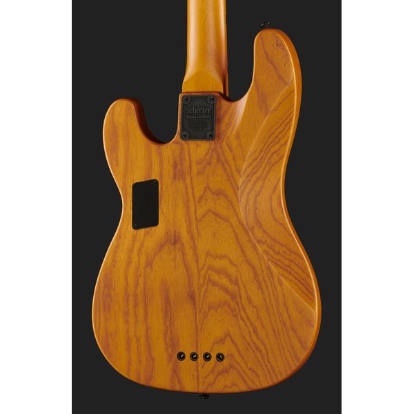 Schecter Model-T Session-4 ANS