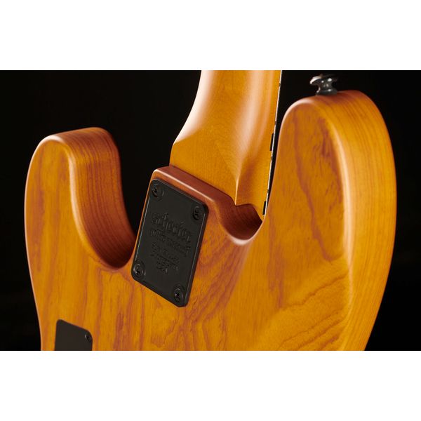 Schecter Model-T Session-4 ANS