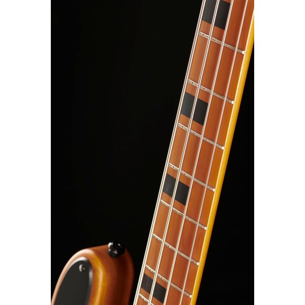 Schecter Model-T Session-4 ANS