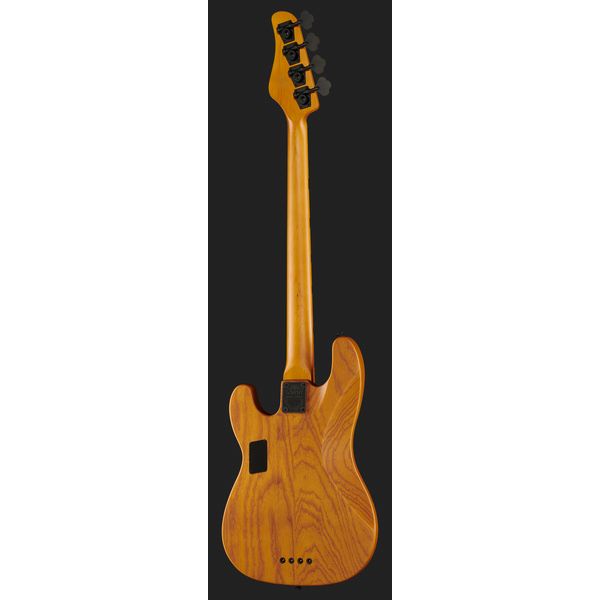 Schecter Model-T Session-4 ANS
