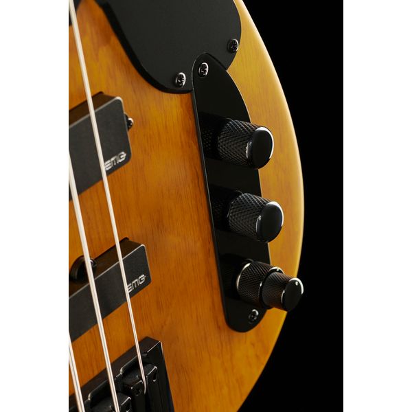 Schecter Model-T Session-4 ANS
