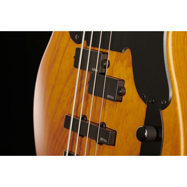Schecter Model-T Session-4 ANS