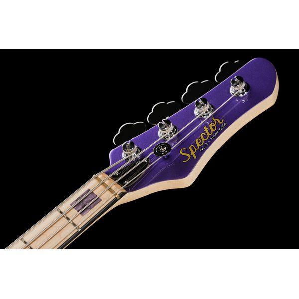Spector NC-4 Frank Bello