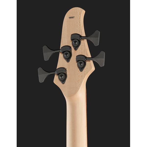 Dingwall D-Roc Standard BPC Matte