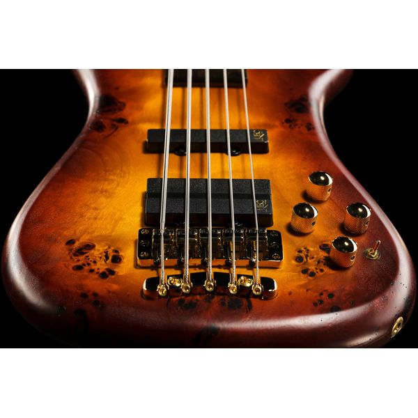 Warwick Teambuilt Streamer 5 Fret HSB